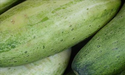 కీరా ర‌సంతో...రోజ్‌వాట‌ర్‌క‌లిపితే...